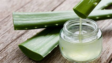 Zloženie gélu z Aloe Vera