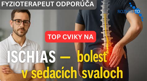 Anatómia sedacieho nervu