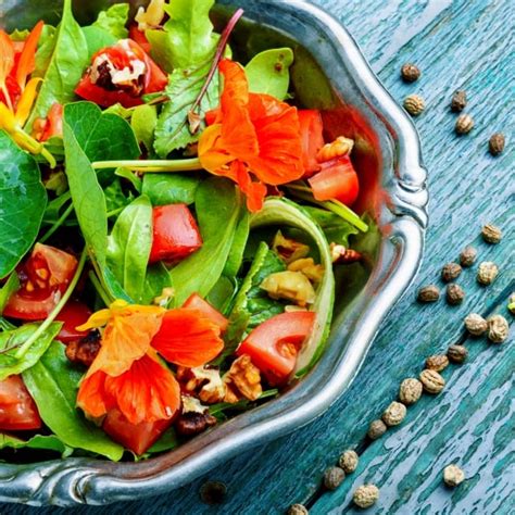 Rôzne jedlá pripravené z kapucínky