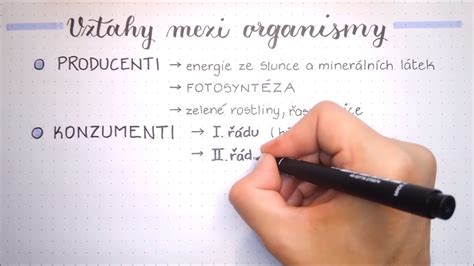 schéma vrstvenia potravy a podstielky vo vermikompostéri