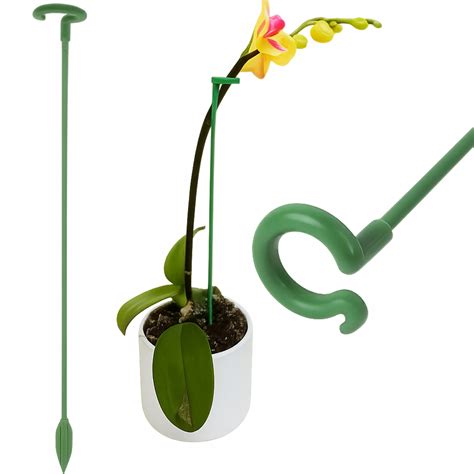 Schéma správneho umiestnenia orchideí pre dobrú cirkuláciu vzduchu