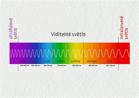 Spektrum svetla a jeho vplyv na fotosyntézu