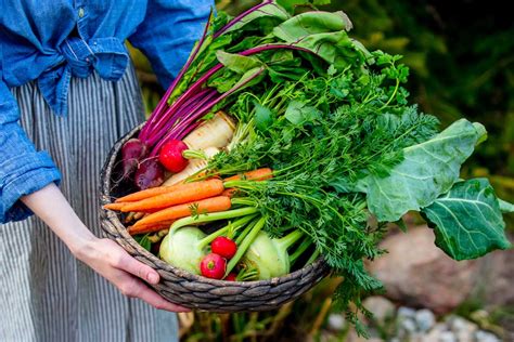Zoznam zeleniny a ovocia vhodných na pestovanie vo vreciach