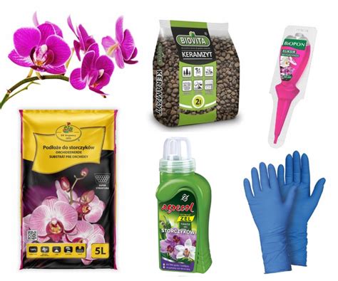 Hnojivo pre orchidey