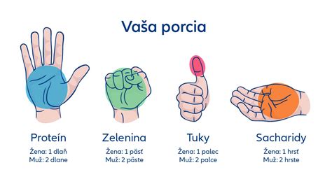 Vizualizácia správnej veľkosti porcie prílohy