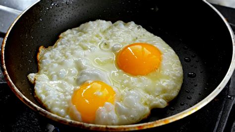 Schéma tvorby gamét (spermie a vajíčka) a ich splynutia