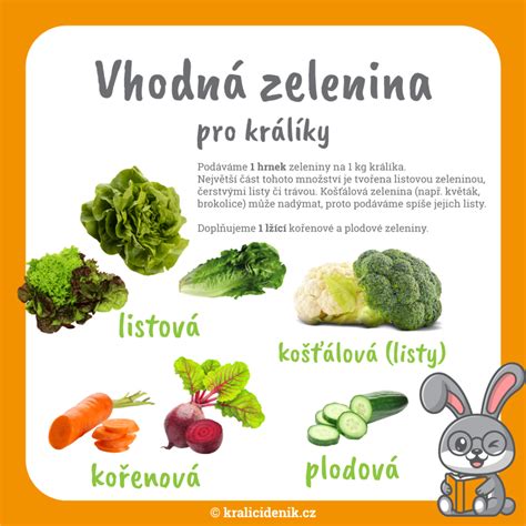 Zelenina vhodná pre začínajúcich záhradkárov