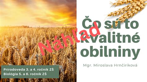 Ilustrácia sejby obilnín