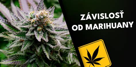 Dekriminalizácia vs. legalizácia marihuany