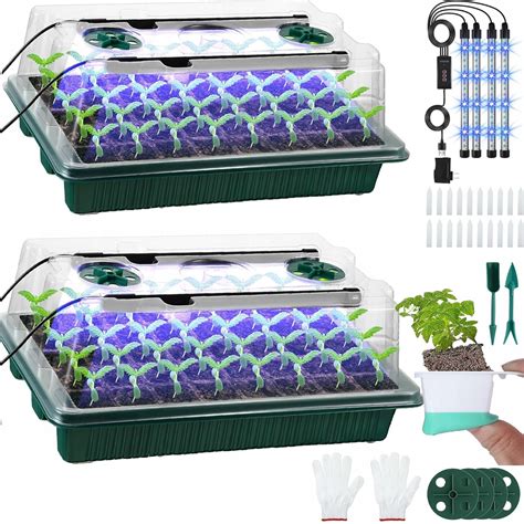 Pestovanie sadeníc v tabletách Jiffy 7 Forestry