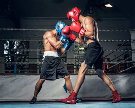 Schéma rozptylu svetla v pestovateľskom boxe s odrazovou fóliou