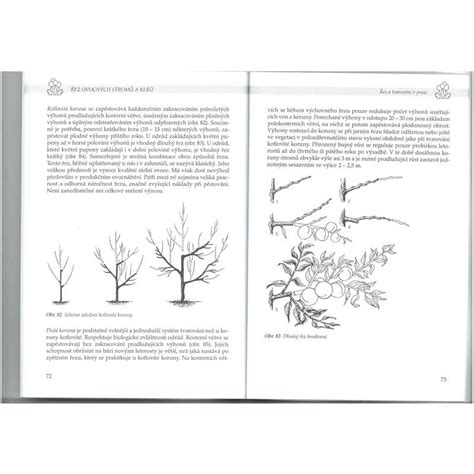 Ilustrácia rôznych druhov ovocných stromov a kríkov