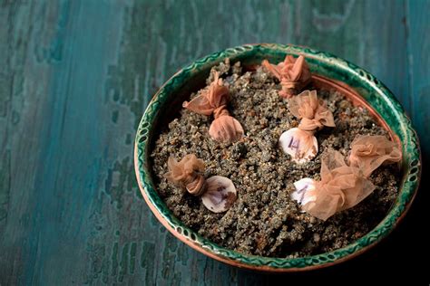 Ilustrácia procesu stratifikácie semien v piesku v kvetináči