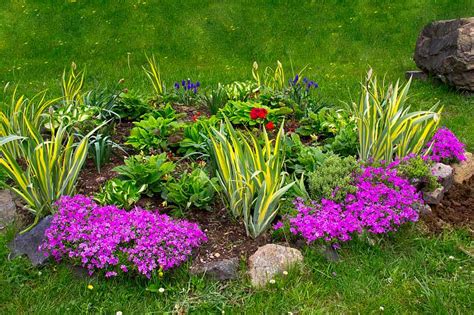 Záhon s nízkymi žltými trvalkami a skalničkami.