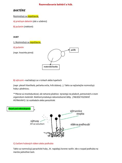 Diagram konjugácie baktérií