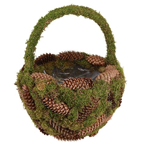 Hyacinty v sviatočnom aranžmáne s machom a šiškami