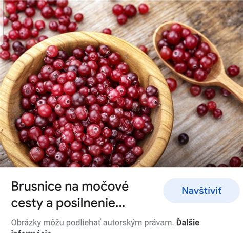 rozdiel medzi brusnicou a kľukvou