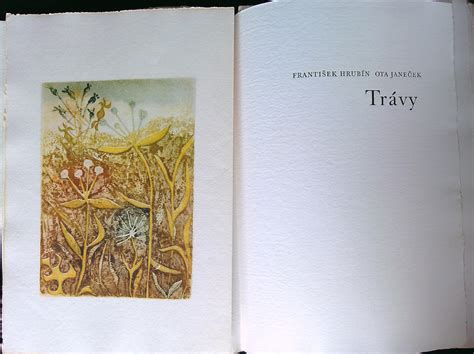 Spolupráca ilustrátora a autora