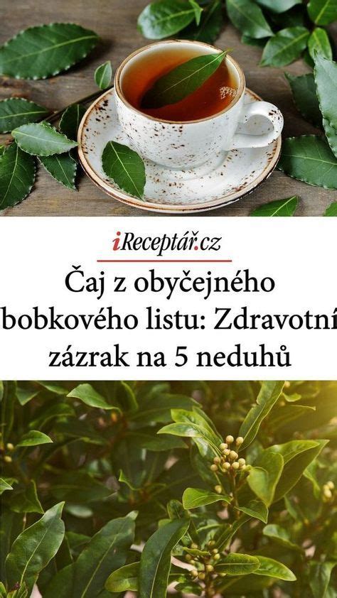 Zalievanie a rosenie bobkového listu
