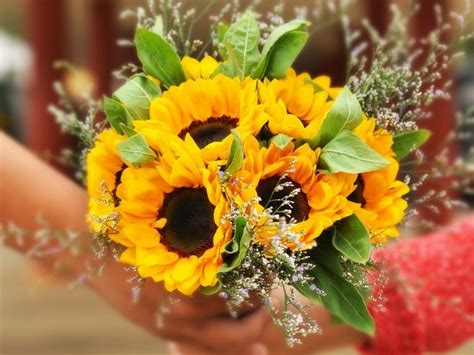 letne kvety - slnecnice, hortenzie, dahlie