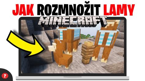 Lamy v Minecrafte