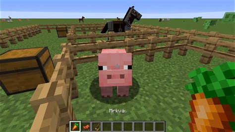 Rôzne jazdecké zvieratá v Minecrafte