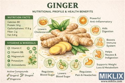 Infografika s nutričnými hodnotami tekvice
