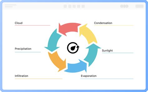 Diagram cyklu rastu bambusu