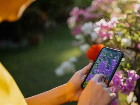 Záhradkár držiaci smartfón s aplikáciou na identifikáciu rastlín