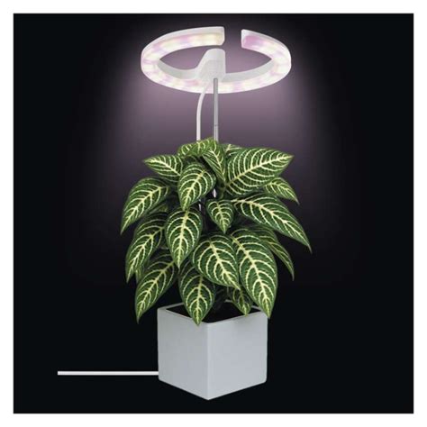 LED GROW pestovateľská lampa pre africké fialky