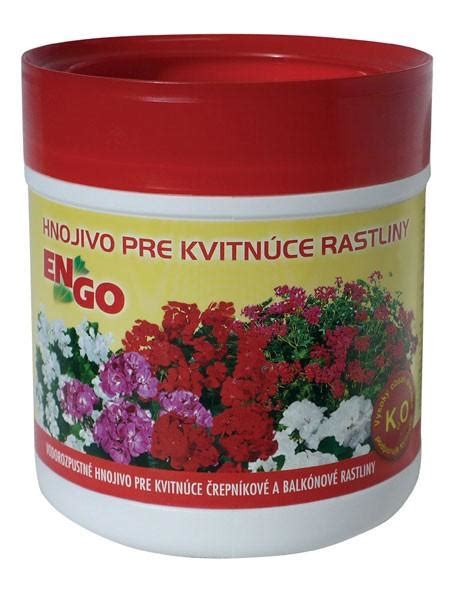 Dôležitosť správneho hnojenia pre kvitnúce netýkavky