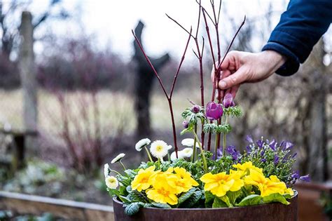 Jarné kvety v košíku