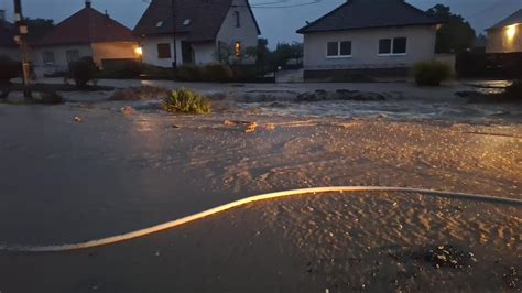 Názorná ukážka pučania u nezmara