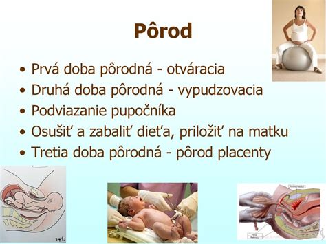 Pôrod vorvaňa
