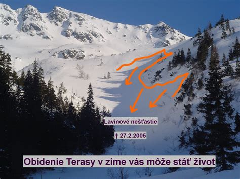 Ohrozenie veľrýb znečistením