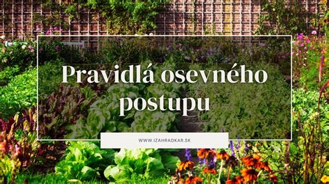 Ilustrácia trojhonového osevného postupu