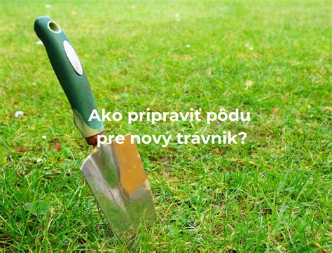 Ako vybrať kvetináč a pripraviť pôdu pre kôpor