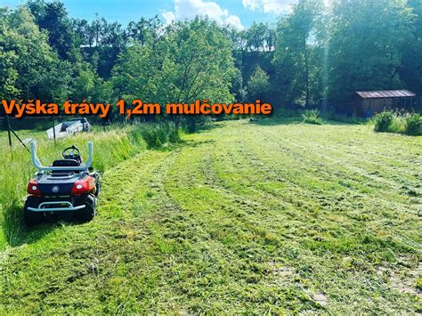 Príklady mulčovania pri čučoriedkach