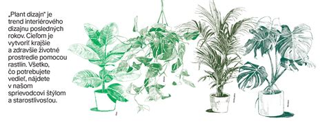 Ilustrácia správnej zálievky rastlín