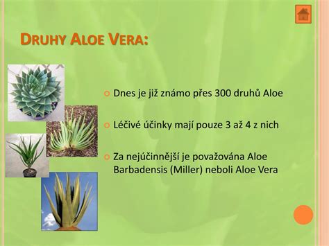 Druhy pleti a vhodnosť aloe vera gélu