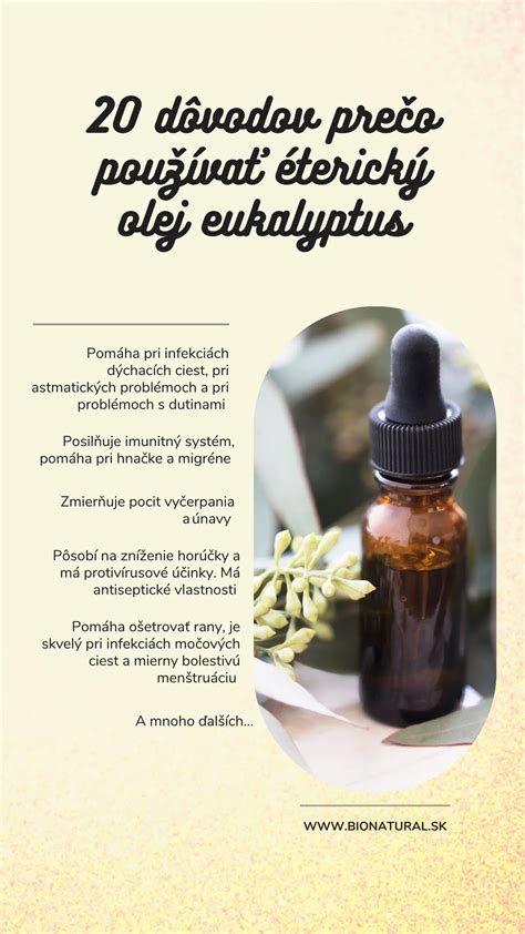 Infografika: Prečo si vybrať Kvetinárstvo Evelien