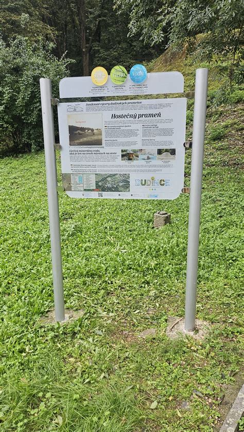 Záhon kvitnúceho harmančeka na slnečnej lúke