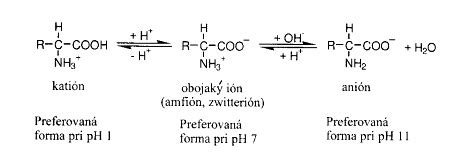 Chemická štruktúra atropínu