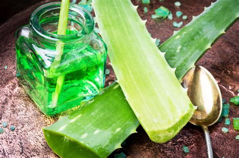 Rôzne spôsoby využitia Aloe Vera