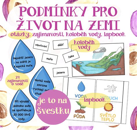 Infografika: Základné potreby citrónovníka (svetlo, voda, pôda, hnojivo)