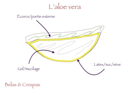 Schéma zloženia Aloe First s popismi jednotlivých byliniek
