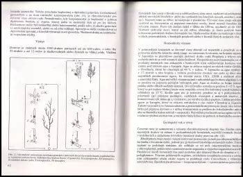 Schéma evolúcie rastlín