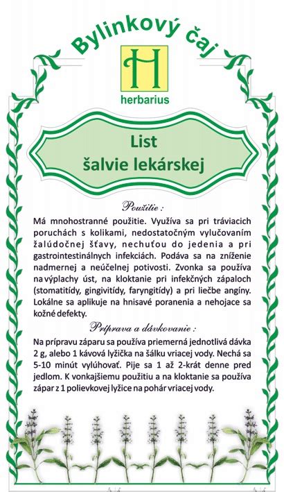 Infografika: Anatomická štruktúra šalvie lekárskej