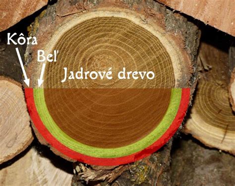 Detailná štruktúra betónového kvetináča imitujúceho drevo