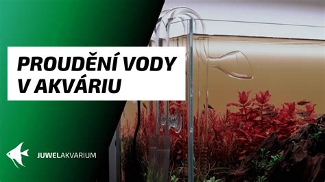 Pôrodnička pre živorodky v akváriu